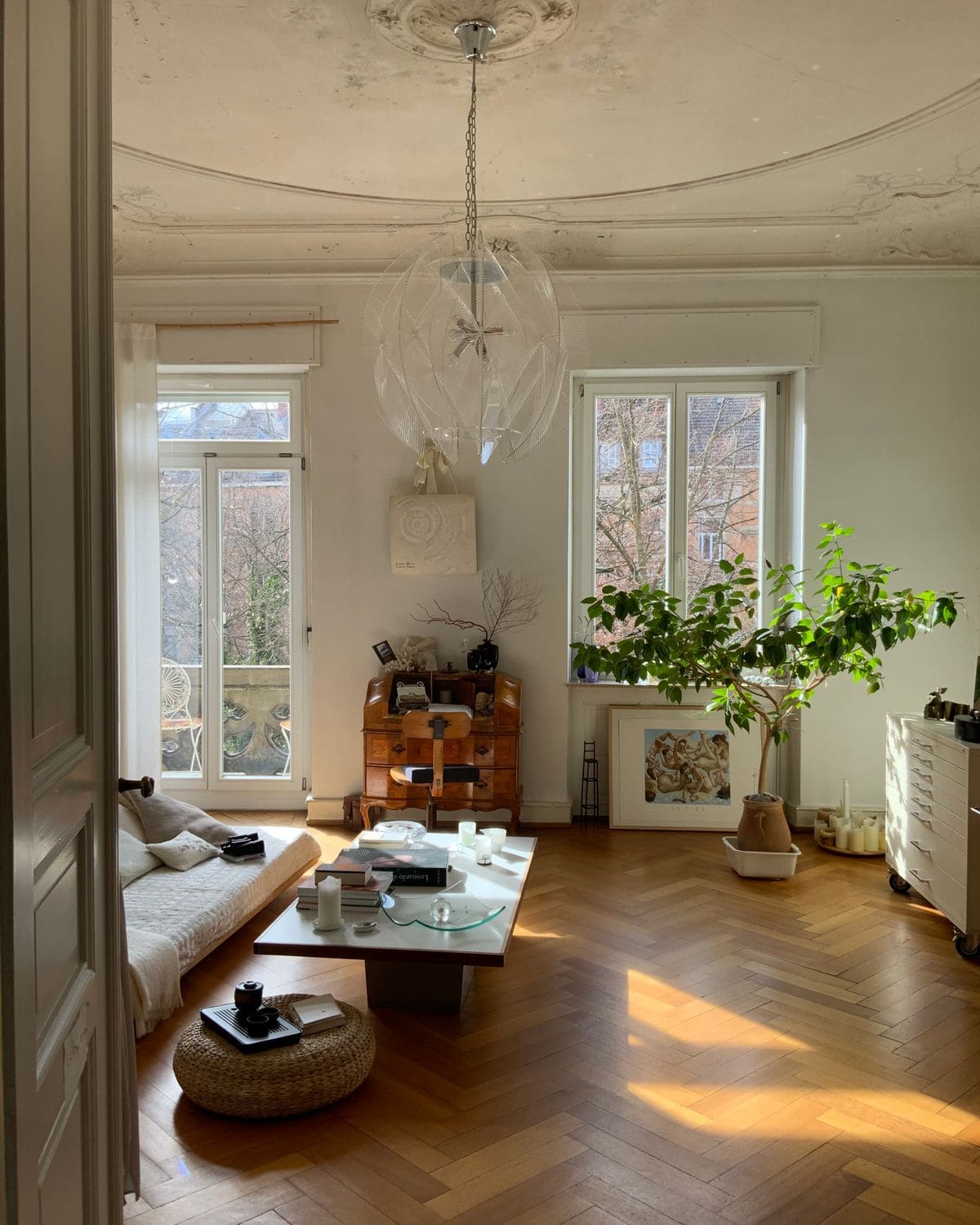 Sunlit, freshly cleaned living room with plants and tall windows